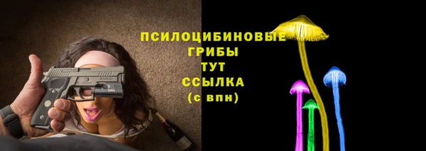Альфа ПВП Армянск