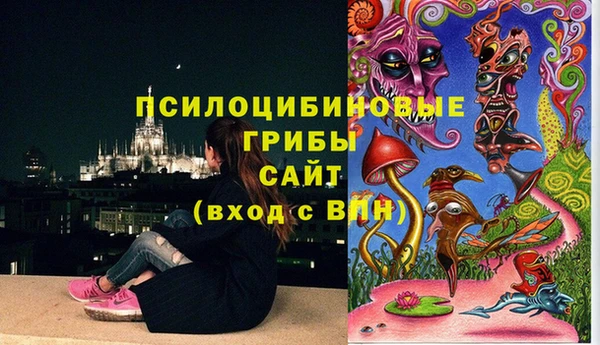 Альфа ПВП Армянск